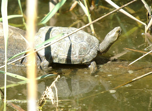 Aula de Ecología Urbana de Vitoria-Gasteiz