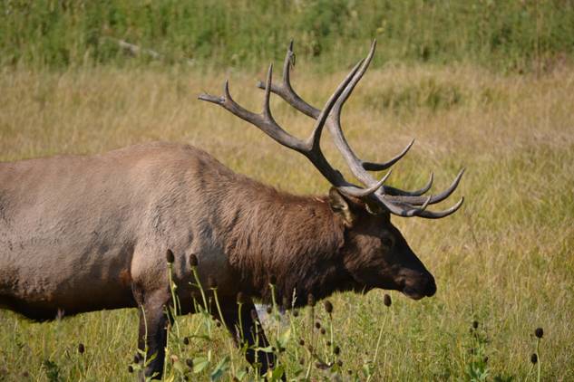Castilla y León da ‘carpetazo’ e ‘impunidad’ al expediente de caza ‘ilegal’ en un Parque Natural