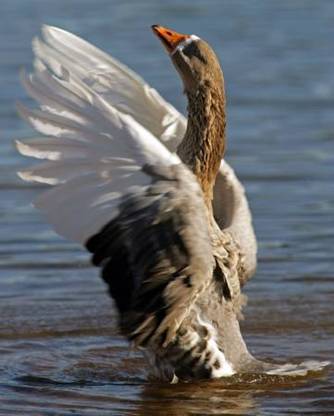 El ‘peligroso’ Plan Hidrológico del Ebro