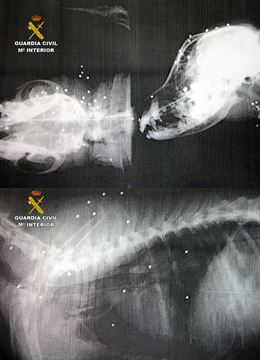 En Campos del Río (Murcia)