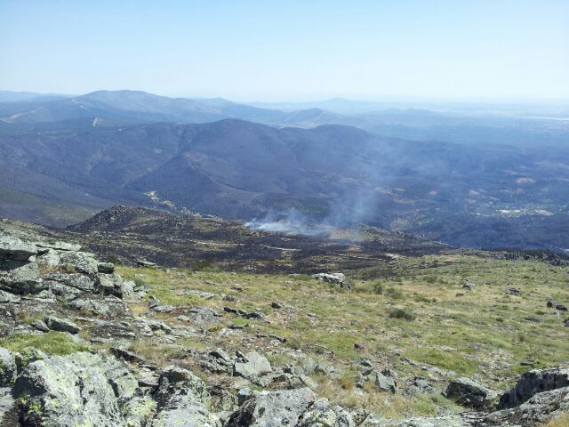 El Ministerio de Agricultura