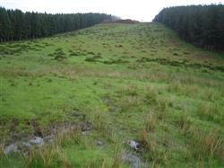 El Gobierno Vasco y la Diputación de Gipuzkoa restauran las laderas y turbera de Usarbelartza