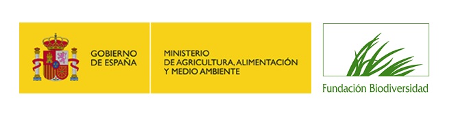 Medio Ambiente premia las propuestas de los escolares para cuidar el medio ambiente