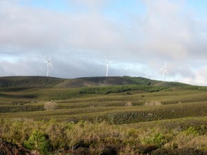 El TC confirma la ilegalidad del nudo eólico Villameca