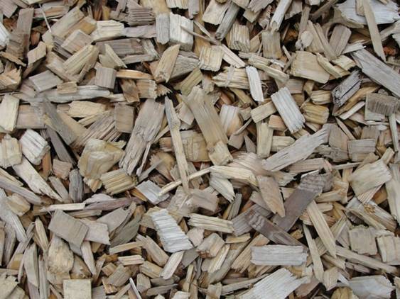 La española Abengoa desarrollará en Bélgica la mayor planta de biomasa del mundo