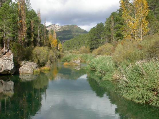 IU-ICV-CHA pide Medio Ambiente que explique el nuevo pacto sobre el Tajo