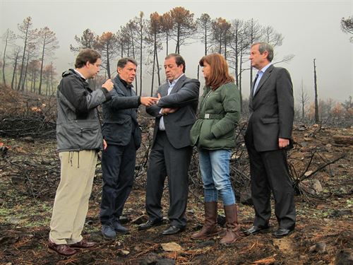 La prensa internacional ‘alaba’ la Central Hidroeólica de El Hierro