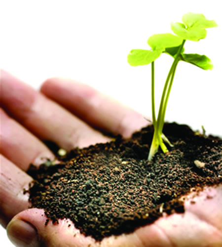 Formación en gestión del medio ambiente