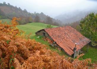 Asturias declarará el Parque Natural de Ponga reserva de la biosfera