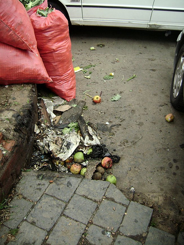 Se publica la quinta edición del boletín digital "Oarso 21"