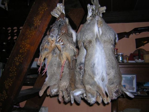 Los cazadores ven 35 razones a favor de la ley de caza de Castilla – La Mancha