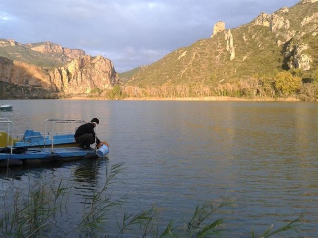 Los embalses españoles al 66