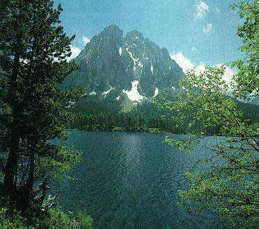 El Ministerio de Medio Ambiente