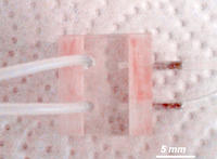 Un sensor detecta la presencia de mercurio en el agua