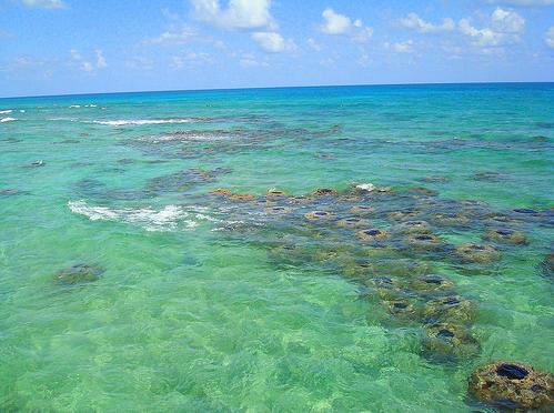 Destinan 12 millones de euros para construir 41 arrecifes artificiales