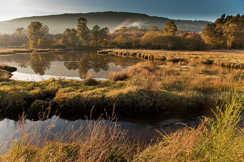 ANAPRI celebra el Día Mundial de los humedales en el embalse de Santillana