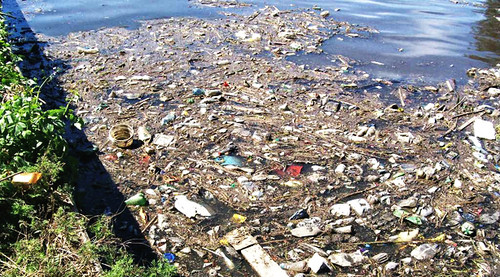 Exposición en Valsaín (Segovia) sobre sostenibilidad