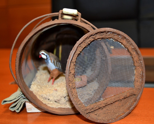 Patentan un prototipo que permite aumentar la población de perdiz roja