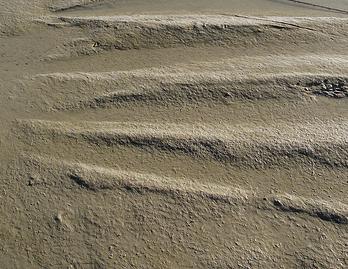 Sacyr se adjudica una planta de tratamiento de lodos en Castellón por 160 millones