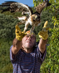 El grupo de rock Barricada devuelve a la naturaleza tres aves rapaces rehabilitadas en el Centro Ilundáin