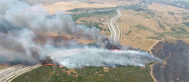 Policía andaluza pone a disposición judicial a 10 personas y denuncia a 321 por presunto delito medioambiental en Cádiz