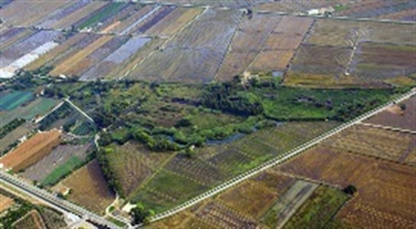 El Govern inicia quemas controladas para reducir biomasa en el parque del Delta de lEbre