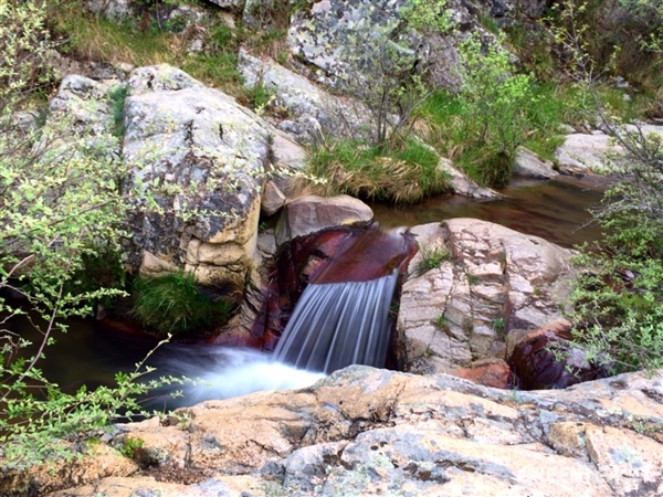 Dónde están los políticos a los que les importa el medio ambiente