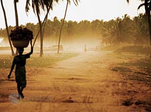 African countries stepping forward in low-carbon growth