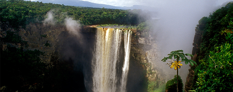 5 claves para la sostenibilidad en el escudo de Guyana