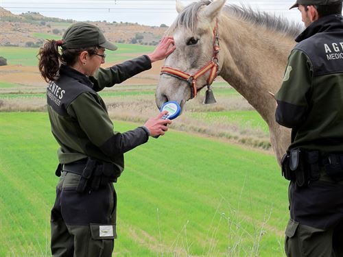 Agentes Medioambientales apuestan decididamente por la reforma de la ‘Ley de Protección Animal de Castilla-La Mancha’
