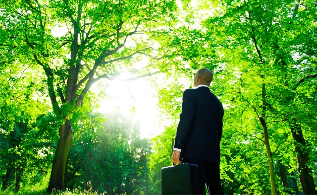 Conviértete en consultor ambiental con FUNIBER