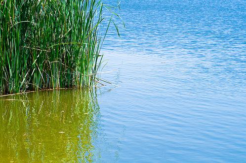 Tarragona. 223 millones para descontaminar y recuperar el embalse de Flix