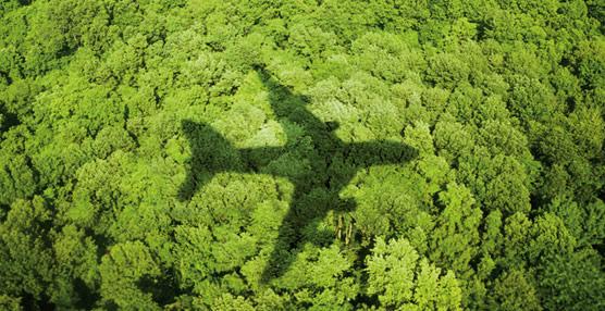 Infórmate sobre el mejor M.B.A en Turismo Sostenible