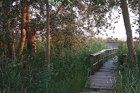 El MARM garantiza la preservación de Las Tablas de Daimiel