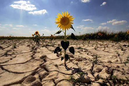 Chile. Inauguran el mayor centro de investigación nacional en cambio climático