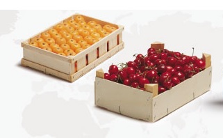 Por la complementariedad de sistemas en la gestión de los residuos de madera