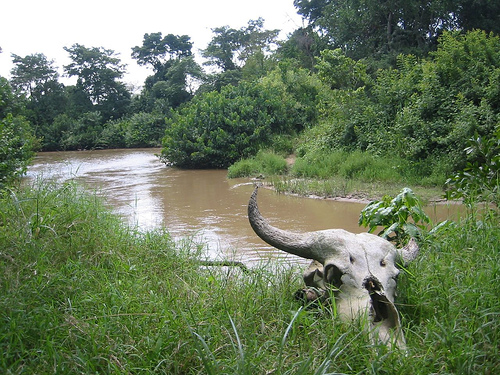 Coltán: el mineral de la muerte