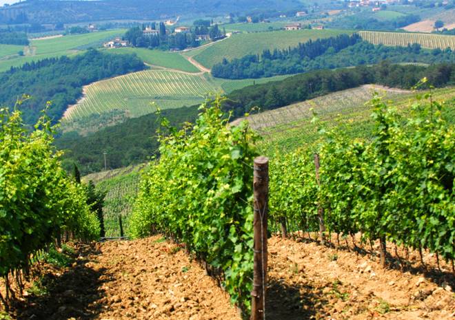 España no aprovecha el enfoque “verde” planteado en la UE