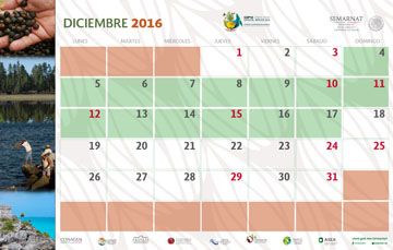Efemérides y decretos ANP de diciembre en México