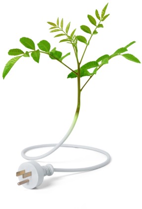 Extraordinario Master en energías renovables y eficiencia energética de IMF