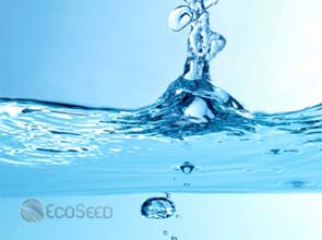 Top 10 Water Saving Tips