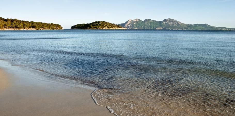 Mar de Baleares. Mission Blue y Asociación Ondine están valorando su consideración como Hope Spot