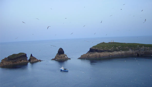 La Secretaría General del Mar participa en la campaña del Proyecto BIOROCK en la Reserva Marina de las Islas Columbretes