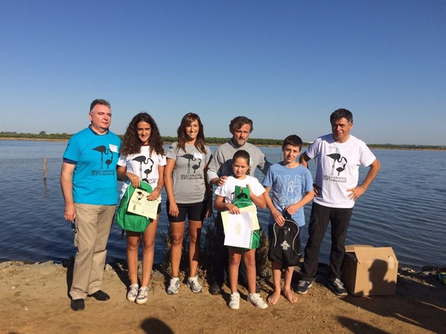 Las marismas del Odiel acoge el único anillamiento de pollos de flamenco
