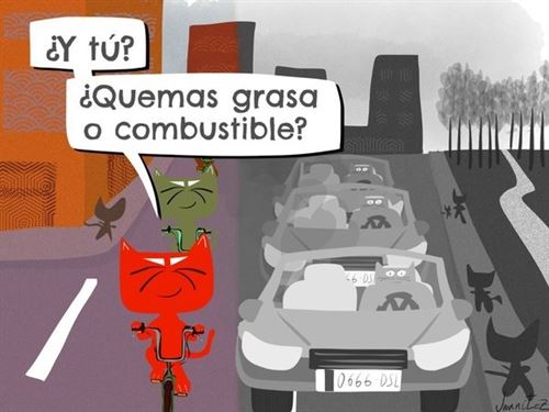 Conoces al gato activista de la bicicleta