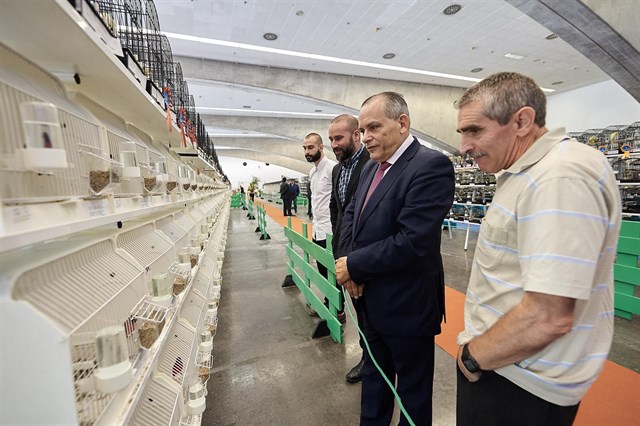 Tenerife acoge un encuentro ornitológico que reúne a 3.200 aves