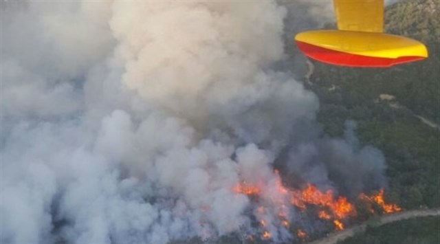 Permanece activo el incendio de Entrimo tras quemar 2.800 hectáreas