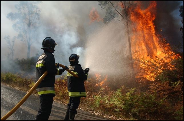 Los bosques de Zamora siguen ardiendo