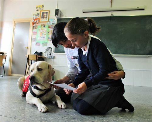 Perros en las aulas