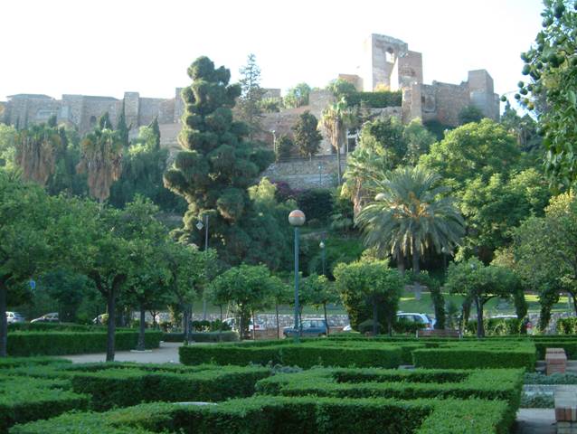 Entregan 11.000 plantas a 55 municipios malagueños